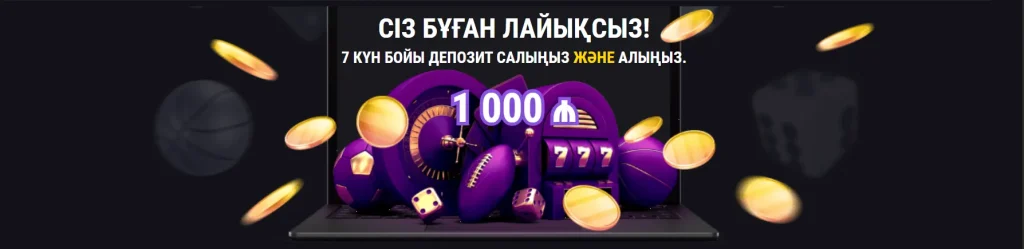 Promo codes and Special Offers